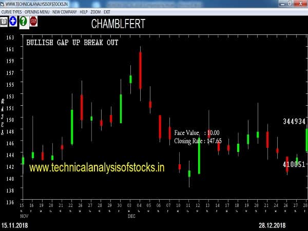chamblfert share price