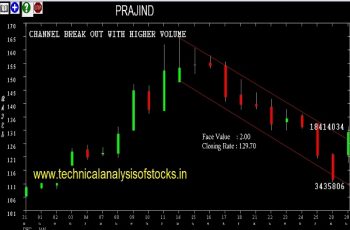 prajind share price