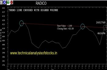 radico share price