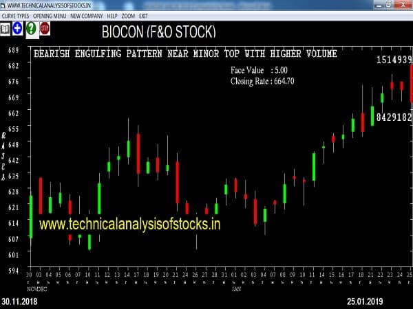 biocon share price