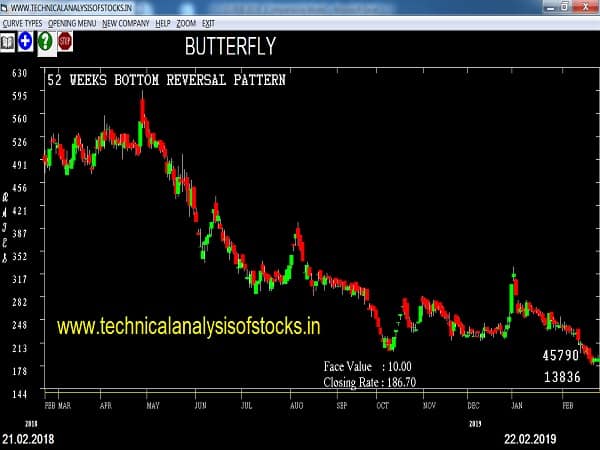 butterfly share price