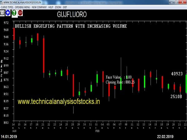 gujflouro share price