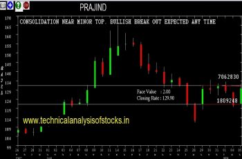 prajind share price