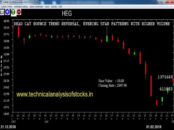 heg share price