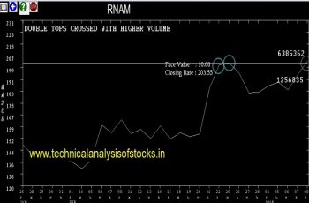 rnam share price