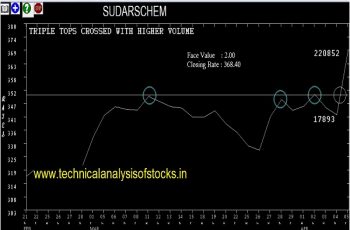 sudarschem share price