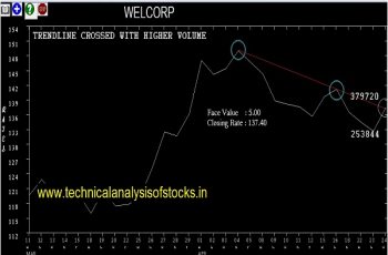 welcorp share price