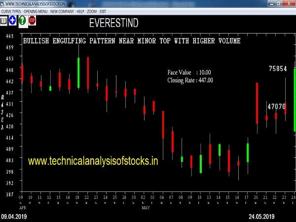 everestind share price