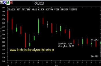radico share price