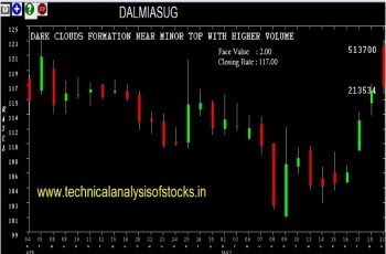 dalmiasug share price
