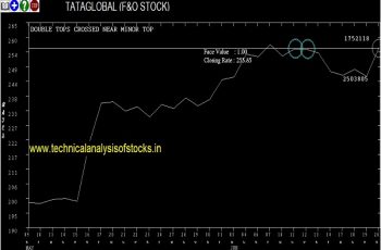 tataglobal share price
