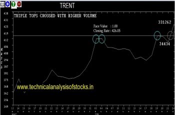 trent share price