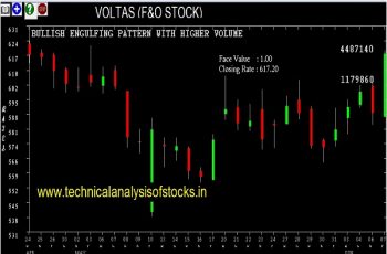 voltas share price
