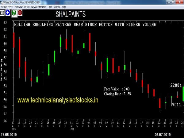 shalpaints share price