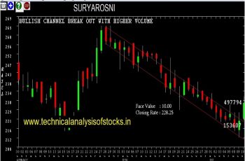 suryarosni share price