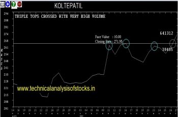 KOLTEPATIL share price