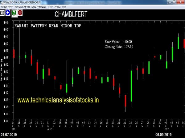 chamblfert share price