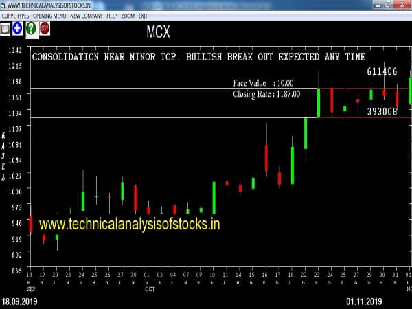 mcx share price history