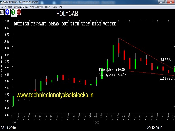 polycab share price history