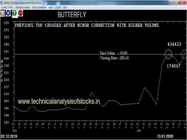 butterfly share price history