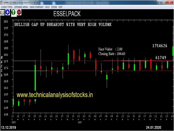 esselpack share price history