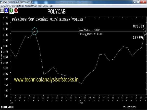 polycab share price history