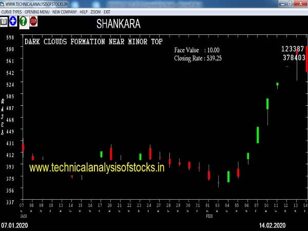 shankara share price history