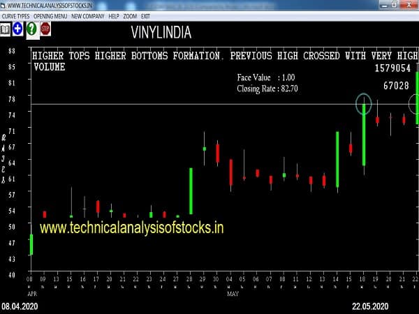vinylindia share price
