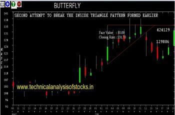 butterfly share price history