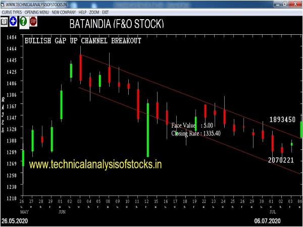 bataindia share price history