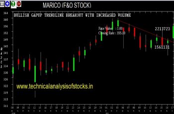marico share price