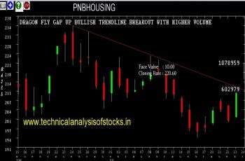 pnbhousing share price