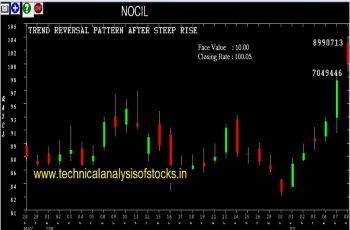 nocil share price history