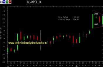 gujapollo share price