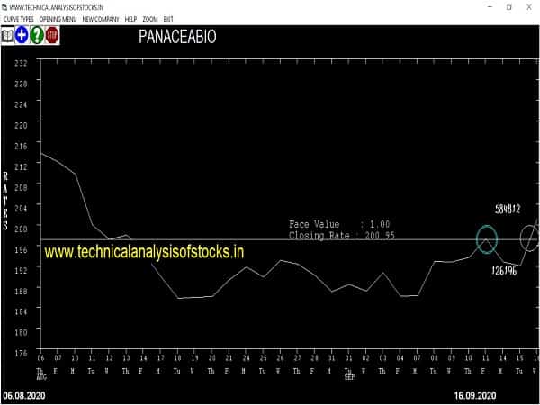 panaceabio share price
