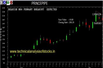 princepipe share price