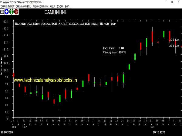 camlinfine share price