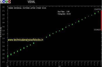 vishal share price