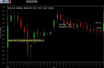 bhageria share price
