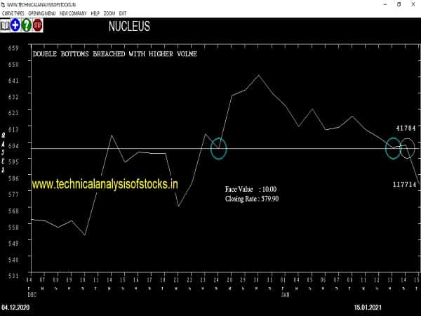 nucleus share price
