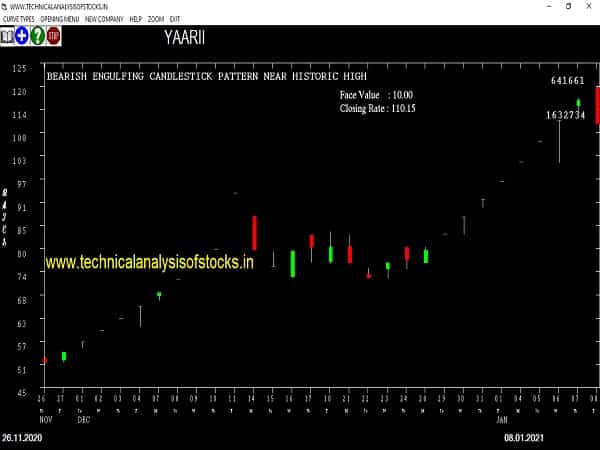 yaarii share price