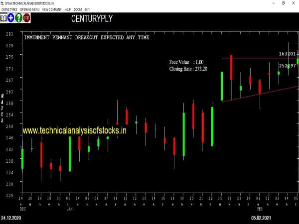centuryply share price