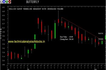 butterfly share price chart