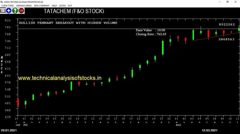 tatachem share price chart