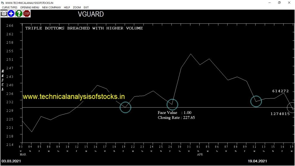 vguard share price chart
