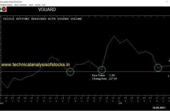 vguard share price chart
