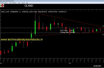 buy gland